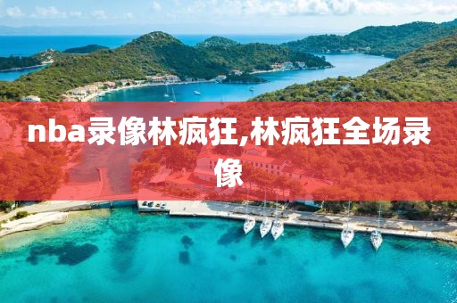 nba录像林疯狂,林疯狂全场录像