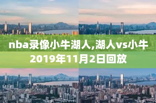 nba录像小牛湖人,湖人vs小牛2019年11月2日回放