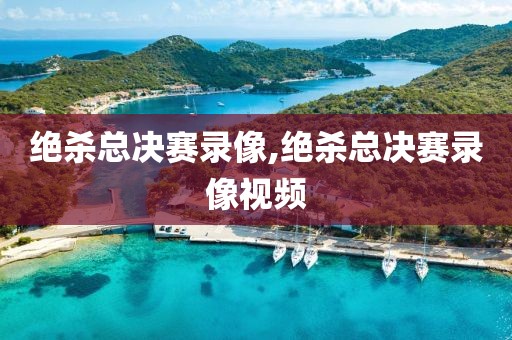绝杀总决赛录像,绝杀总决赛录像视频