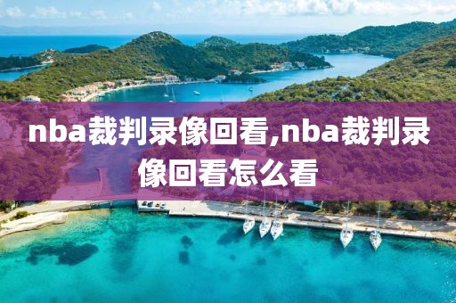 nba裁判录像回看,nba裁判录像回看怎么看