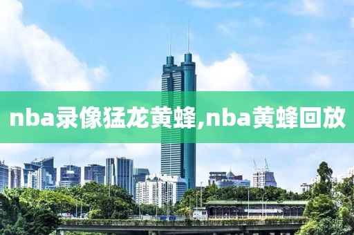 nba录像猛龙黄蜂,nba黄蜂回放