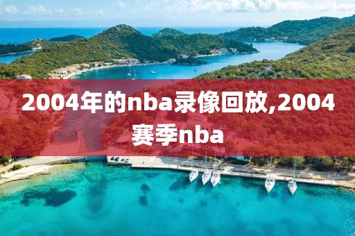 2004年的nba录像回放,2004赛季nba