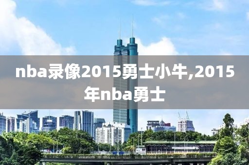 nba录像2015勇士小牛,2015年nba勇士