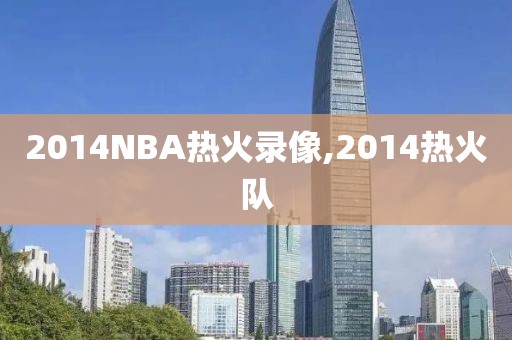 2014NBA热火录像,2014热火队
