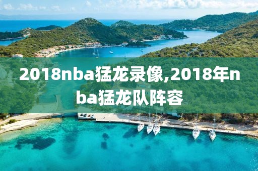 2018nba猛龙录像,2018年nba猛龙队阵容
