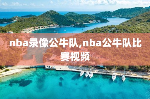nba录像公牛队,nba公牛队比赛视频