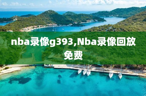 nba录像g393,Nba录像回放免费
