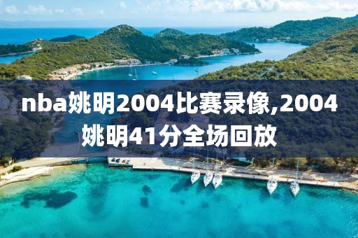 nba姚明2004比赛录像,2004姚明41分全场回放