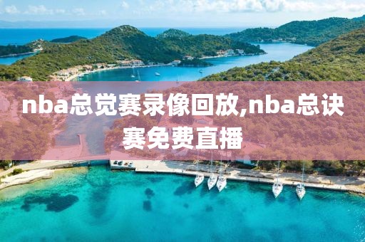 nba总觉赛录像回放,nba总诀赛免费直播