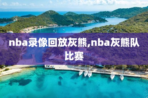 nba录像回放灰熊,nba灰熊队比赛