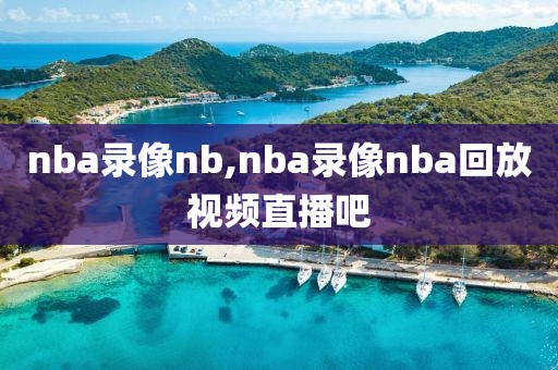 nba录像nb,nba录像nba回放视频直播吧