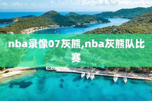 nba录像07灰熊,nba灰熊队比赛