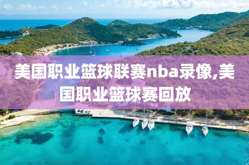 美国职业篮球联赛nba录像,美国职业篮球赛回放