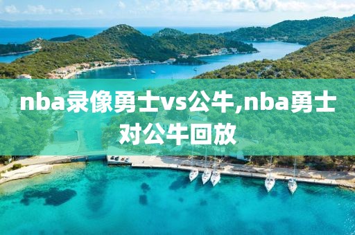 nba录像勇士vs公牛,nba勇士对公牛回放