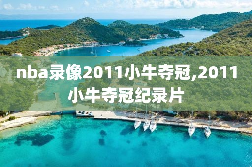 nba录像2011小牛夺冠,2011小牛夺冠纪录片