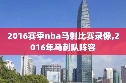 2016赛季nba马刺比赛录像,2016年马刺队阵容