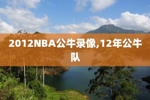 2012NBA公牛录像,12年公牛队