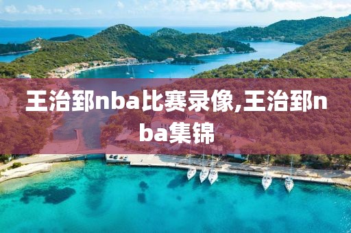 王治郅nba比赛录像,王治郅nba集锦