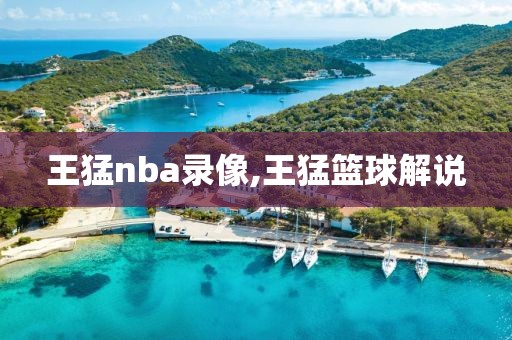 王猛nba录像,王猛篮球解说