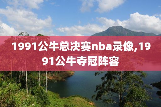 1991公牛总决赛nba录像,1991公牛夺冠阵容