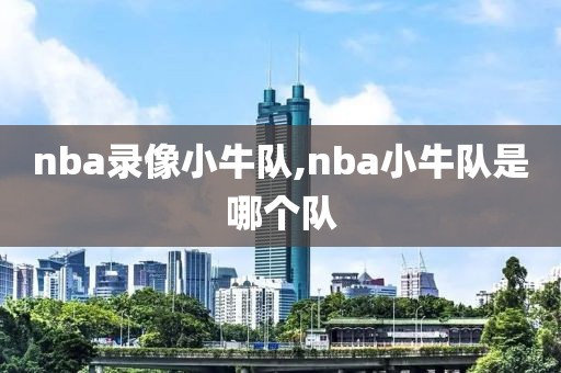 nba录像小牛队,nba小牛队是哪个队
