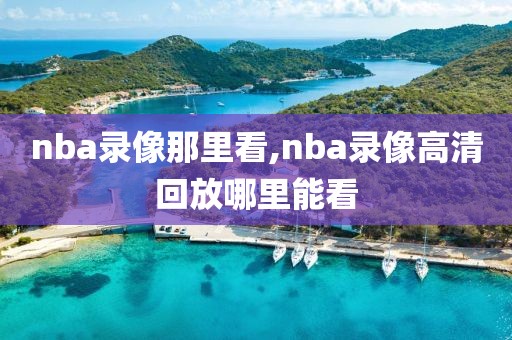 nba录像那里看,nba录像高清回放哪里能看