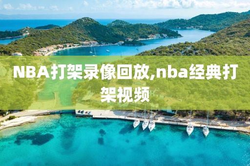 NBA打架录像回放,nba经典打架视频