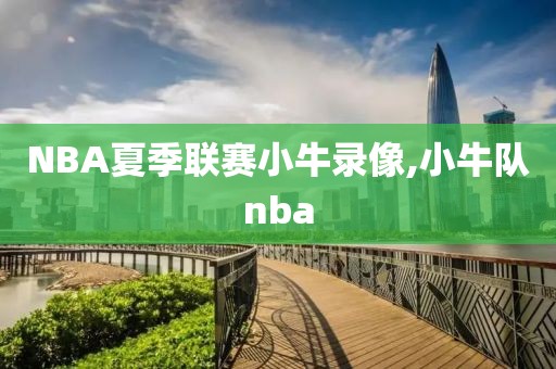 NBA夏季联赛小牛录像,小牛队nba