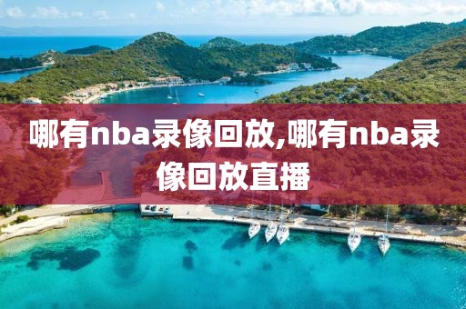 哪有nba录像回放,哪有nba录像回放直播