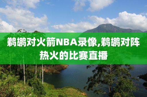 鹈鹕对火箭NBA录像,鹈鹕对阵热火的比赛直播