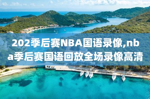 202季后赛NBA国语录像,nba季后赛国语回放全场录像高清