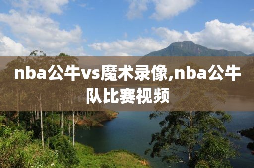 nba公牛vs魔术录像,nba公牛队比赛视频