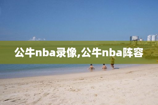 公牛nba录像,公牛nba阵容
