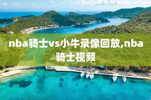 nba骑士vs小牛录像回放,nba骑士视频