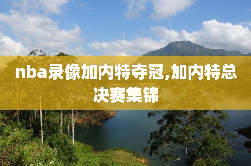 nba录像加内特夺冠,加内特总决赛集锦