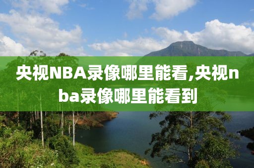央视NBA录像哪里能看,央视nba录像哪里能看到