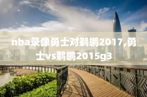 nba录像勇士对鹈鹕2017,勇士vs鹈鹕2015g3