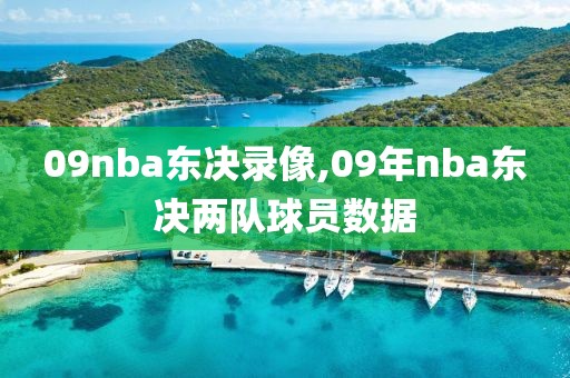 09nba东决录像,09年nba东决两队球员数据